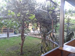 20150519_185020