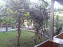 20150519_185020